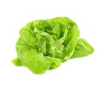 Lettuce