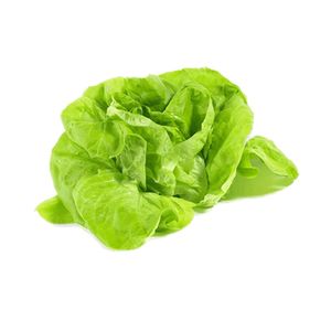 Lettuce